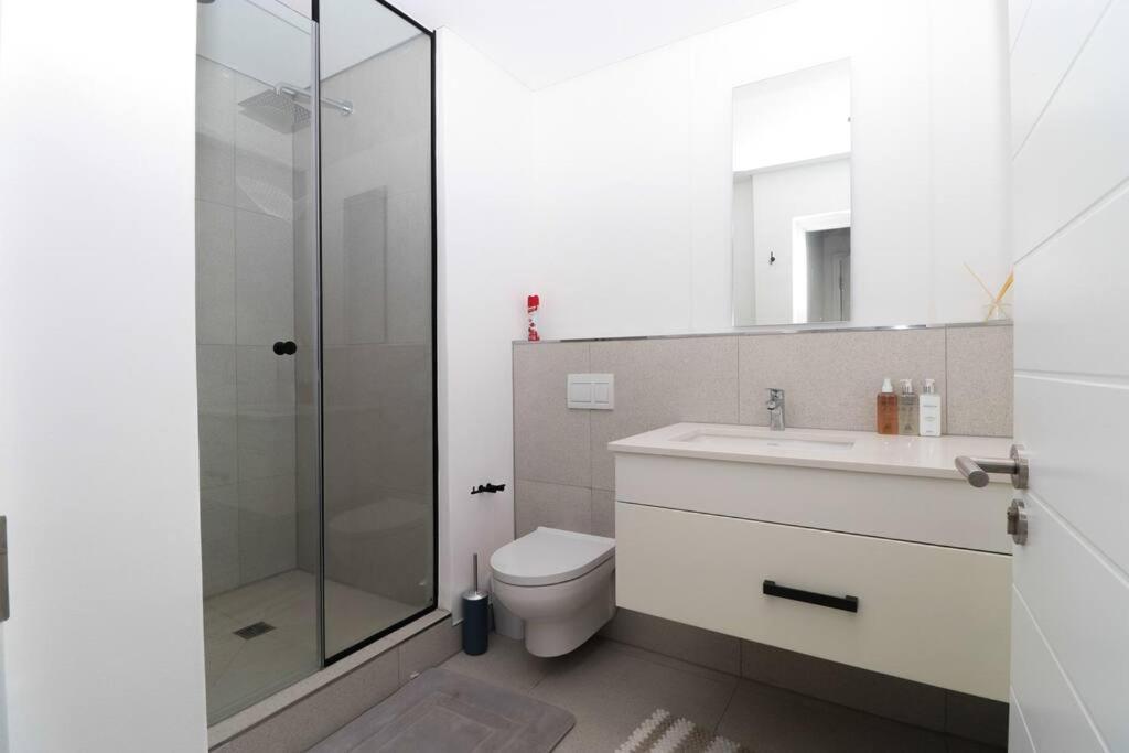 Apartment Modern In Century *